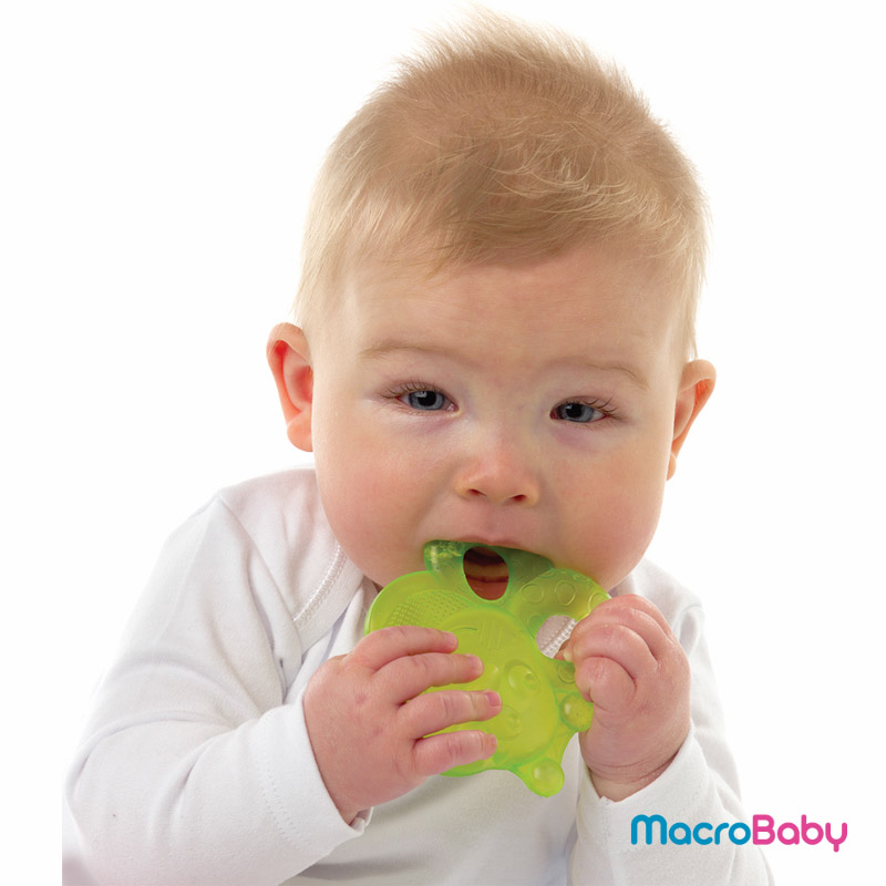 Bee water teethers Playgro - MacroBaby