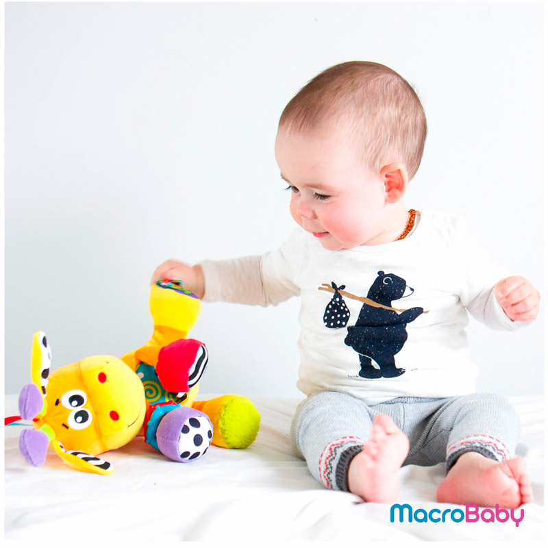 Discovery friend Giraffe Playgro - MacroBaby