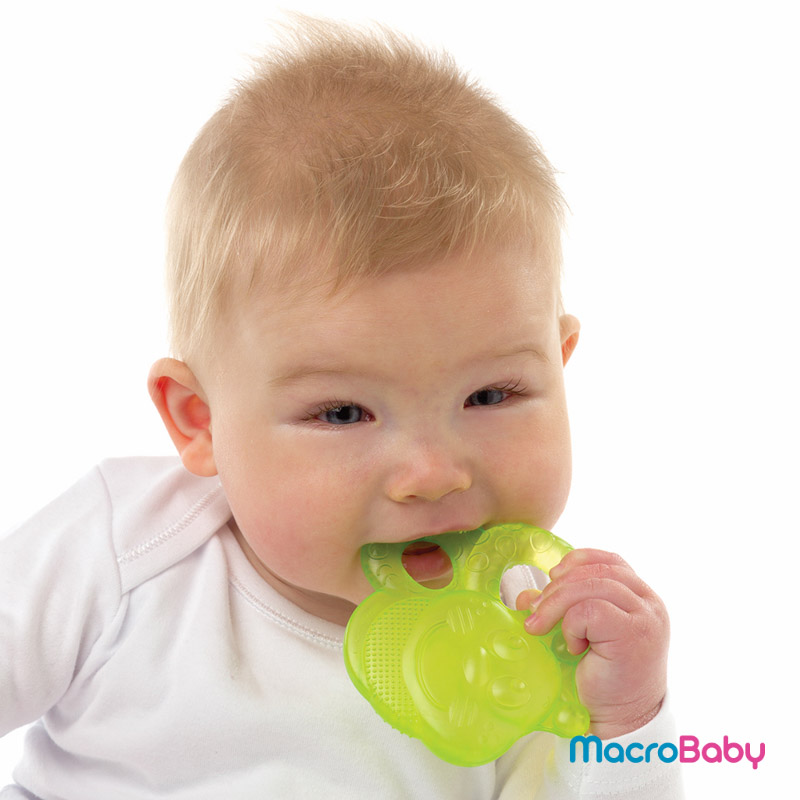 Bee water teethers Playgro - MacroBaby