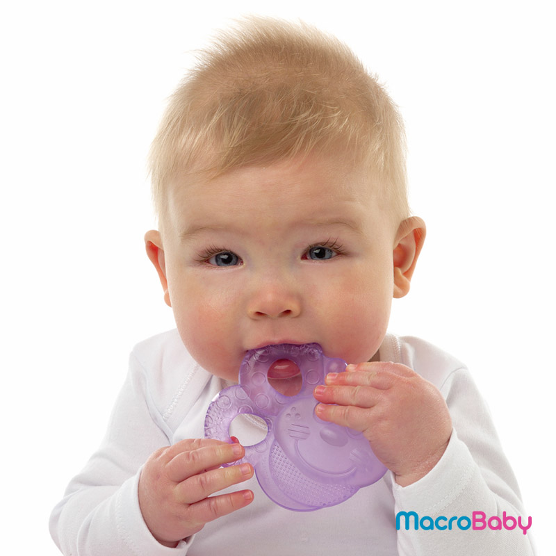 Bee water teethers Playgro - MacroBaby
